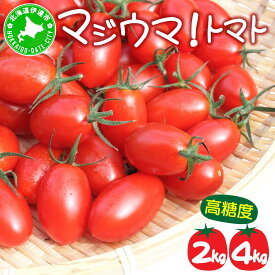 【ふるさと納税】【2026年先行予約】＜選べる容量＞ 伊達 岡本園芸 ミニトマト 高糖度 約2~4kg【マジウマ！トマト】