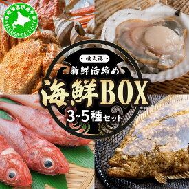 【ふるさと納税】北海道 伊達　噴火湾 水揚げ 今野水産 新鮮 活締め 海鮮 BOX 3～5種セット