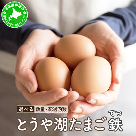 【ふるさと納税】北海道 伊達市 とうや 卵（鉄）【選べる数量・お届け回数】