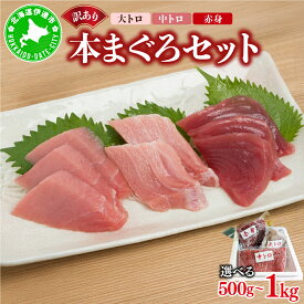 【ふるさと納税】【選べる容量】本マグロ（大トロ・中トロ・赤身）訳ありセット 500g〜1kg 【ogm-024-sku】