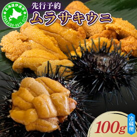【ふるさと納税】＜先行予約＞ 北海道産 ムラサキウニ（正規品）【ogm-027】うに 海鮮 国産 北海道 伊達 ふるさと納税