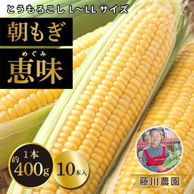 【ふるさと納税】北海道産 朝もぎ とうもろこし 恵味 L-LLサイズ 約400g×10本 スイートコーン ゴールドコーン トウモロコシ とうきび コーン 旬 完熟 野菜 甘い おやつ 産地直送 お取り寄せ 北海道 藤川農園 送料無料 伊達　【伊達市】　お届け：2024年7月中旬～9月上旬まで