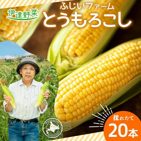 【ふるさと納税】北海道産 とうもろこし 恵味 ゴールドラッシュ 20本 Lサイズ トウモロコシ とうきび コーン スイートコーン 旬 新鮮 朝採り 産地直送 国産 野菜 農作物 甘い めぐみ 人気 BBQ ふじいファーム 送料無料　【 伊達市 】　お届け：2024年7月下旬～10月上旬