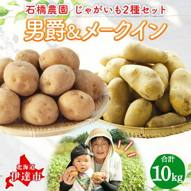 【ふるさと納税】石橋農園のじゃがいも（男爵＆メークイン）約10kg食べ比べセット　【野菜・じゃがいも・セット・詰合せ・ジャガイモ・芋・セット】　お届け：2024年9月上旬～11月下旬