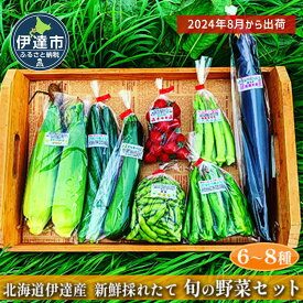 【ふるさと納税】新鮮採れたて！旬の伊達野菜セット（6～8種）　【 野菜 セット 詰合せ じゃがいも ミニトマト 野菜セット 】　お届け：2024年8月上旬～2024年9月末まで