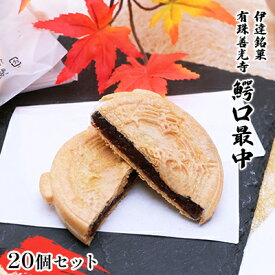 【ふるさと納税】伊達銘菓 有珠善光寺 鰐口最中 20個セット（10個入×2箱）　【 お菓子 和菓子 お茶うけ お茶菓子 北海道産 小豆 皮 米粉 モチモチ サクサク 食感 おやつ 甘味 和のスイーツ 】