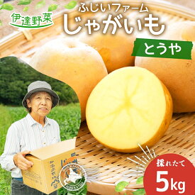 【ふるさと納税】北海道産 じゃがいも とうや 約5kg ジャガイモ 馬鈴薯 ポテト 芋 イモ 旬 産地直送 国産 野菜 農作物 甘い ホクホク しっとり 煮物 カレー 肉じゃが 人気 ふじいファーム 送料無料　【 伊達市 】　お届け：2024年9月中旬～11月下旬