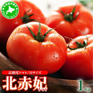 yӂ邳Ɣ[Łzys\z kC ɒBs x g}g kԔ  1kg 1`5 MTCY v1`5kg Ƃ܂ VN W[V[ Yn