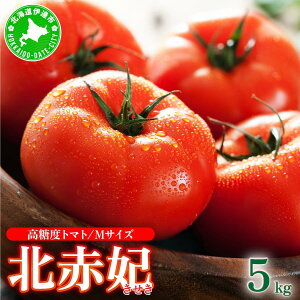 yӂ邳Ɣ[Łzy2025N z s\ kC ɒBs x g}g kԔ  1kg 1`5 MTCY v1`5kg Ƃ܂ VN W[V[ Yn
