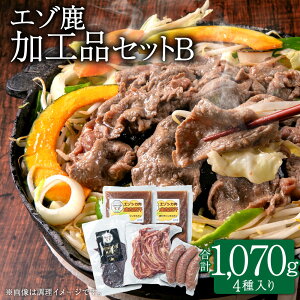 yӂ邳Ɣ[ŁzG] HiZbgB WMXJ x[R \[Z[W W[L[ WrG v1,070g 4    pbN Ⓚ o[xL[ BBQ t t kC kLs