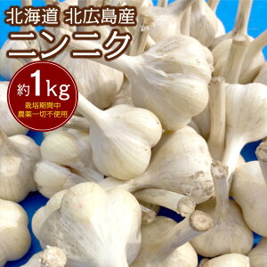 yӂ邳Ɣ[Łzy2025N8{-2026N1{\zkC kLY jjN 1kg  ͔|Ԓ_sgp ɂɂ f Aq[W kC kLs 퉷 
