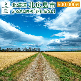 【ふるさと納税】北広島市への寄附（返礼品はありません）500,000円 返礼品なし 北海道 北広島市