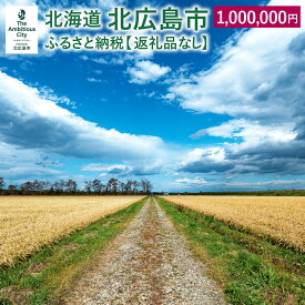 【ふるさと納税】北広島市への寄附（返礼品はありません）1,000,000円 返礼品なし 北海道 北広島市