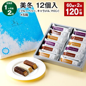 yӂ邳Ɣ[Łzyցzy12z~ 12iu[x[ALA}j×5 60 v120i60×2j ~tB[ pC `R[g P[L َq َq  H