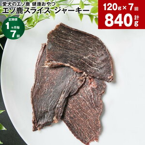 yӂ邳Ɣ[Łzyցzy17z̃G] N G]XCX W[L[ 120gi20g×6Pj v840gi120g×7jybgt[h  WrG  퉷 Y kC kLs 