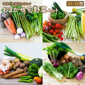 yӂ邳Ɣ[Łz܂ {  Zbg lߍ킹 10`12ޒx ₳ VN S S Y { kC kLsY ①  yVX[p[SALE 9J