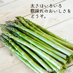 yӂ邳Ɣ[ŁzyIׂeʁi800g / 1.6kg / 2.4kgjzAXp M`2Ly2026N4{`6{\zVN Y kCY kLsY t ① kC kLs 
