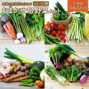 yӂ邳Ɣ[ŁzyIׂցi3 / 6 / 12jz ܂ {  Zbg lߍ킹 1񂠂10`12ޒx ₳ VN S S Y {  3 6 12 kC kL