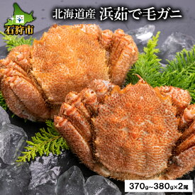 【ふるさと納税】【楽天限定】かに 蟹 カニ北海道産浜茹で毛ガニ(370g～380g×2尾)北海道 石狩市 毛蟹 毛ガニ 毛がに けがに ケガニ ボイル 茹で 冷凍 浜茹 魚貝 魚介 直送 御土産 土産 手軽 おかず