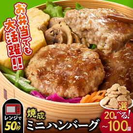 【ふるさと納税】 専門店のミニハンバーグ 【選べる 個数 お届け回数】ファイヤーバーグ お弁当 焼成ミニハンバーグ 25g 20個 50個 100個 定期便 ハンバーグ ミニサイズ 冷凍 調理済 レンジ 簡単 おかず お弁当のおかず 惣菜 北海道 石狩市