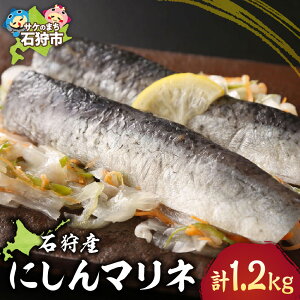 yӂ邳Ɣ[ŁzЕ Mtg@yʌzΎYɂ}li200g×6pbNjv1.2kg@Ύs ӂ邳Ɣ[ kC Yi ɂ jV  hg  |Ђ |̕ CN 