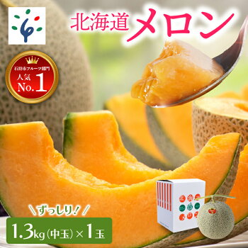 記事番号:33337/アイテムID:351714の画像