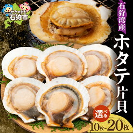 【ふるさと納税】ギフト ホタテ ほたて 帆立　【4月頃出荷】ホタテ片貝生冷パック【5枚入×2袋〜4袋】　北海道 石狩市 いしかり 貝 海産物 魚貝 水産 海鮮 冷凍 片貝 パック 袋 殻付き 片貝 BBQ 焼き肉 網焼き バター醤油 お祭り まとめ買い