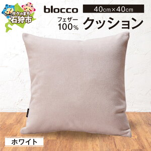 yӂ邳Ɣ[ŁzƋ CeA G݁@blocco tFU[100 NbVi40×40cmj@kC Ύs   킢 k Vv n Ȃ H R  Ƌ CeAO