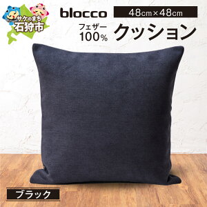 yӂ邳Ɣ[ŁzƋ CeA G݁@blocco tFU[100 NbVi48×48cmj@kC Ύs   킢 k Vv n Ȃ H R  Ƌ CeAO