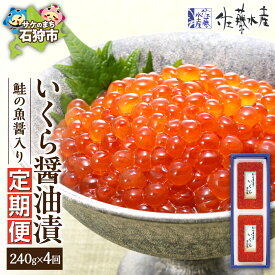 【ふるさと納税】《レビューキャンペーン》【定期便4回】佐藤水産 鮭の魚醤入り いくら醤油漬 定期便 北海道産 いくら 醤油漬け 定期便 年4回 天然鮭 生筋子 鮭いくら 鮭卵 いくら定期便 240g 冷凍 発送 冷凍いくら 醤油漬け いくら丼 海鮮丼 おつまみ ikura 北海道 石狩市