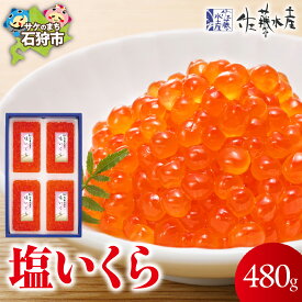 【ふるさと納税】《レビューキャンペーン》いくら イクラ 塩イクラ　佐藤水産 塩いくら 480g(120g×4)　北海道 石狩市 いしかり 珍味 惣菜 おかず 魚卵 塩 塩味 イクラ こだわり 無添加 無着色北海道産 道産 北海道物産展 ギフト 贈り物（のし対応可）