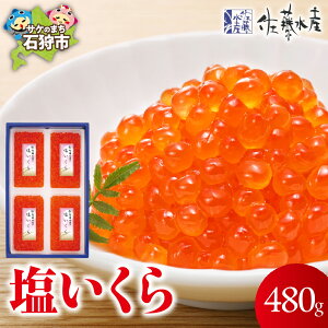yӂ邳Ɣ[Łz CN CN@Y  480g(120g×4)@kC Ύs   y     CN  Y FkCY Y kCYW
