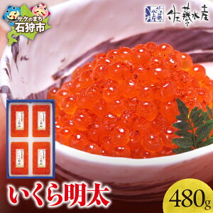 yӂ邳Ɣ[Łzq 疾 @Y 疾 480g(120g×4) Ύs kC Mtg 蕨îΉj@kC Ύs  q ߂񂽂    y
