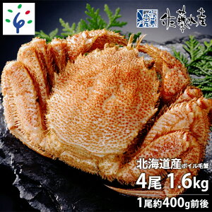 yӂ邳Ɣ[ŁzMtg I Jj Ɂ@Y kCY{CъI 41.6kg(400g×4) Ypɐ|t@kC Ύs  Y CY  L {C 䥂 p 