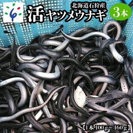 楽天市場 返礼品一覧 海産物 その他 北海道石狩市