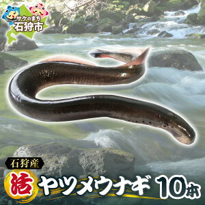 yӂ邳Ɣ[Łzy \t z 2026N 1  ΎY cEiM 10{  VN ߂Ȃ Ȃ     A Y Y  kCY kC Ύs