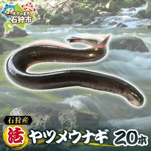 �y�ӂ邳�Ɣ[�Łz�s���r���[�L�����y�[���t�y �\���t�� �z 2026�N 1�� ���� �Ύ�Y �����c���E�i�M 20�{ �� �V�N ��߂��Ȃ� ���Ȃ� �� ���� �� ������ ���A ���Y ���Y ���� �k�C���Y �k