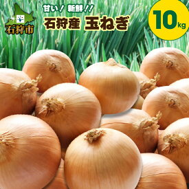 【ふるさと納税】玉ねぎ タマネギ 玉葱 【2024年度産：9月～11月発送】石狩産 玉ねぎ 10kg石狩市 いしかり 北海道 北海道産 道産 野菜 根菜 玉ネギ 玉葱 農産物 たまねぎ 10キロ 10kg 大量 一括 ケース 秋野菜 人気野菜 旬 旬野菜 季節野菜【NEW】