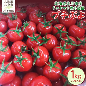 【ふるさと納税】【2026年6月以降発送】北海道北斗市産ミニトマト希少品種「プチぷよ」 【 ミニトマト プチぷよ トマト 野菜 国産 1kg 】 HOKAU001