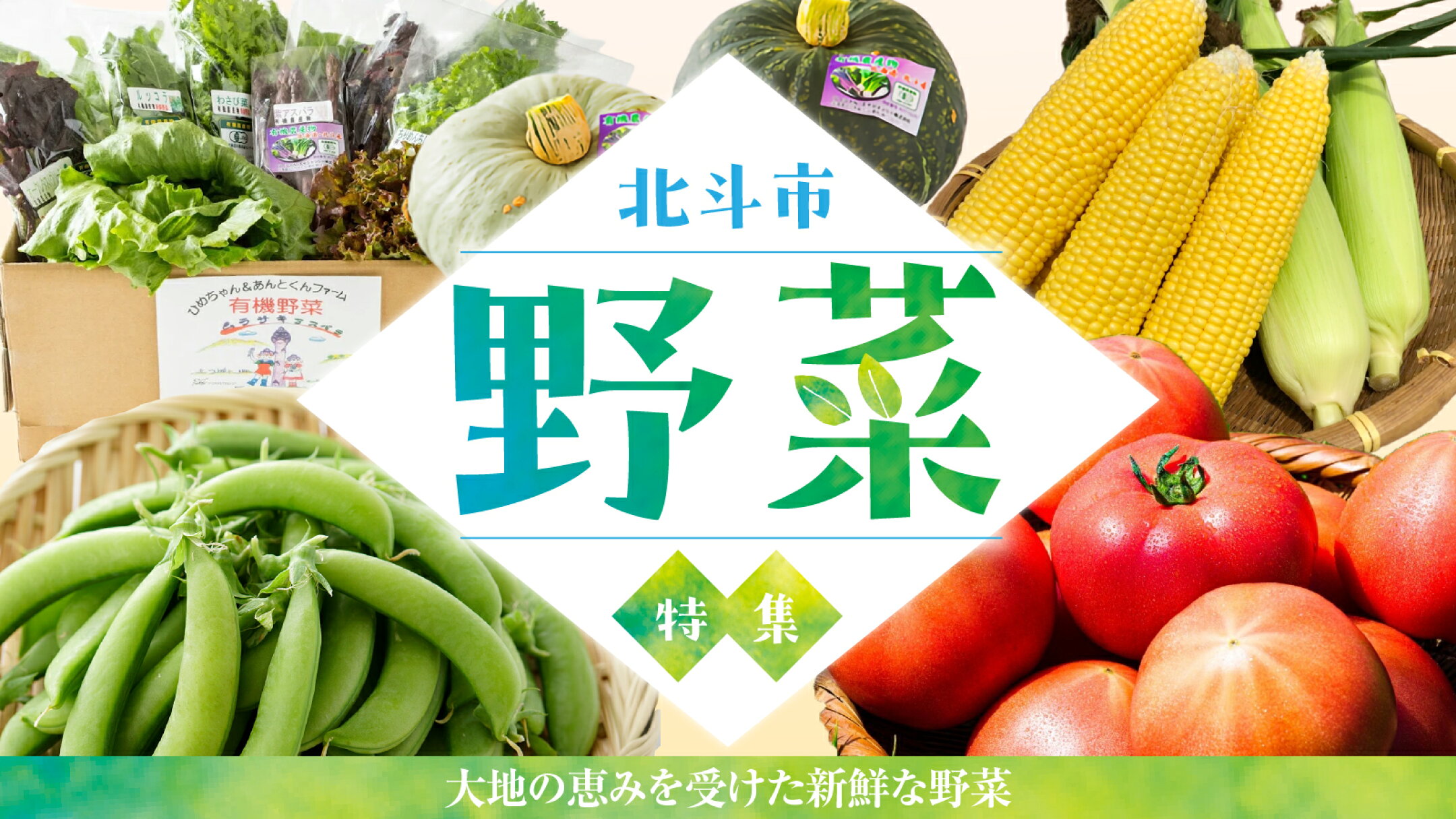 北斗市野菜特集バナー