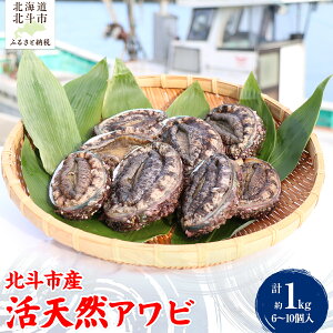 �y�ӂ邳�Ɣ[�Łz�k�l�s�Y ���V�R�A���r 6�`10�� �y �ӂ邳�Ɣ[�� �l�C �������� �����L���O ����� �A���r � �V�R����� �V�R�A���r �V�R� �V�R ���V�R �k�l�s�Y �C�N �V�N �Ìy�C�� �k