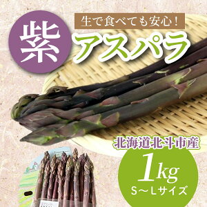 yӂ邳Ɣ[ŁzyJASFL@AXpzS`LTCY1kg y ӂ邳Ɣ[ lC  LO AXpKX AXp AXpKX AXp AXpP L@͔| JASF