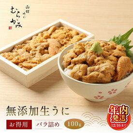 【ふるさと納税】【12/16までの寄附で年内配送】「うにむらかみ」無添加生うにお得用バラ詰め100g 【 ふるさと納税 人気 おすすめ ランキング うに ウニ 雲丹 海栗 塩水ウニ キタムラサキウニ バフンウニ うに丼 海鮮 不使用 北海道 北斗市 送料無料 】 HOKT001