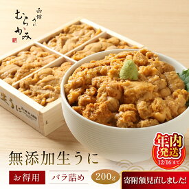 【ふるさと納税】【寄附額見直しました！】【12/16までの寄附で年内配送】「うにむらかみ」無添加生うにお得用バラ詰め200g 【 ふるさと納税 人気 おすすめ うに 海栗 塩水ウニ 塩水うに 海鮮 北海道 北斗市 送料無料 】 HOKT002