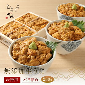 【ふるさと納税】うにむらかみ 無添加生うに お得用バラ詰め 250g ミョウバン不使用 北海道 北斗市