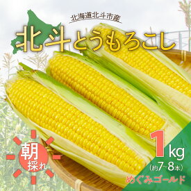 【ふるさと納税】【先行予約】北斗とうもろこし1kg(2026年8月より順次発送) 【 とうもろこし トウモロコシ とうきび トウキビ コーン 北海道 野菜 やさい 】 HOKY003
