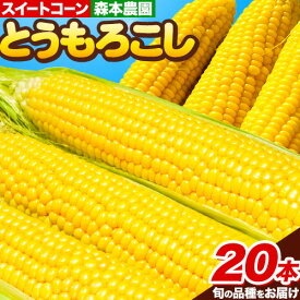 【ふるさと納税】【2026年先行予約】森本農園 とうもろこし 20本セット スイートコーン 恵味ゴールド 夢のコーン スターダスト から旬の品種をお届け 朝どれ 朝採れ トウモロコシ コーン 野菜 旬の品種 旬 たっぷり BBQ 北海道 当別産 北海道産 森本農園