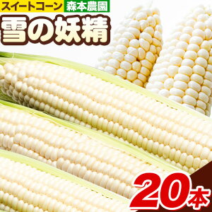 �y�ӂ邳�Ɣ[�Łz �y2026�N��s�\��z �X�{�_�� �Ƃ����낱�� �u��̗d���v 20�{�Z�b�g �g�E�����R�V �X�C�[�g�R�[�� �Z�b�g ��̗d�� ���ǂ� ���̂� �������� �V�N ���ł��H�ׂ��� ������