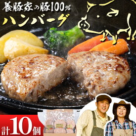 【ふるさと納税】養豚家の豚100％ハンバーグセット 120g2枚入りパック×5セット計10枚 豚肉 肉 厳選 国産 お取り寄せ グルメ おかず おすすめ スマイル ポーク 加工品 惣菜 簡単 冷凍 キャンプ BBQ 浅野農場