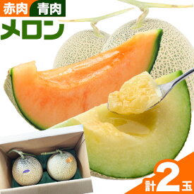 【ふるさと納税】【先行予約】メロン（赤肉・青肉）計2玉《2026年7月上旬-8月下旬頃出荷》 北海道 赤肉 青肉 食べ比べ 人気 野口農園 フルーツ 果物 ギフト めろん デザート 赤肉メロン 青肉メロン 産地直送 北海道産 国産